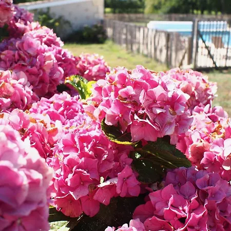 Domaine De Gorre Martillac