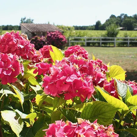 Domaine De Gorre Villa Martillac