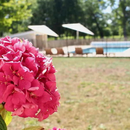 Domaine De Gorre * Martillac