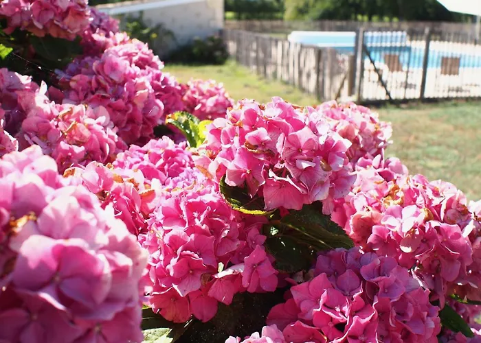 Domaine De Gorre 马蒂拉克