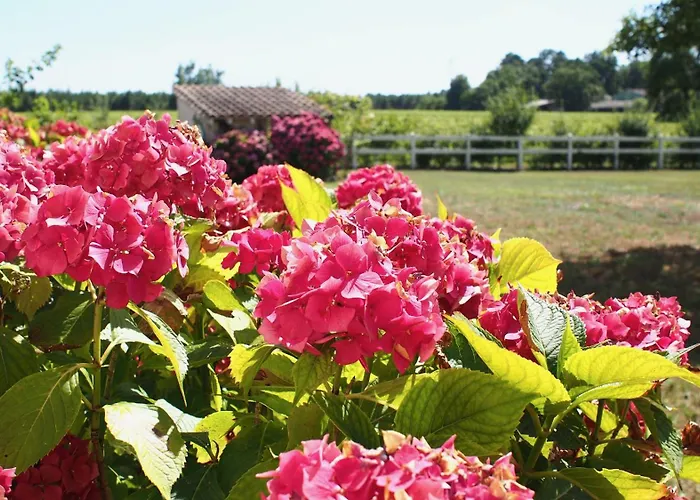 Domaine De Gorre 别墅 马蒂拉克