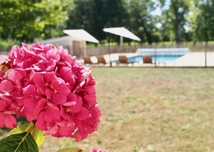 Domaine De Gorre * 马蒂拉克