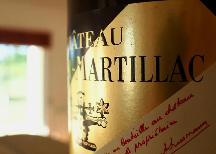 Domaine De Gorre 别墅