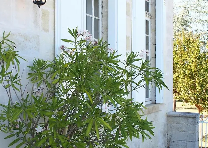 Domaine De Gorre 别墅 *